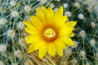 Similar image 22168646