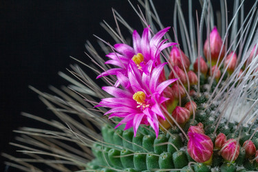 Similar image 22168653