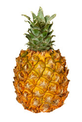 Similar image 22168663