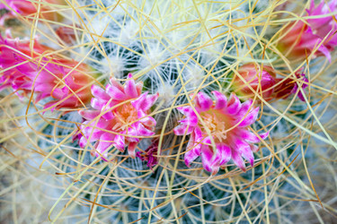 Similar image 22168666