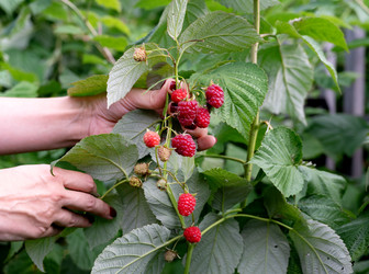 Similar image 22169415