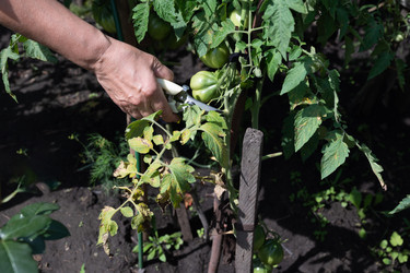 Similar image 22169417