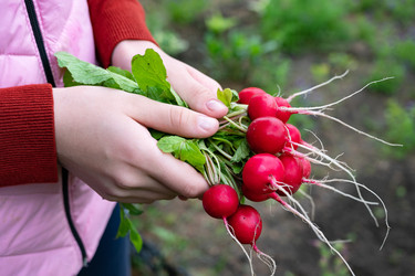 Similar image 22169426