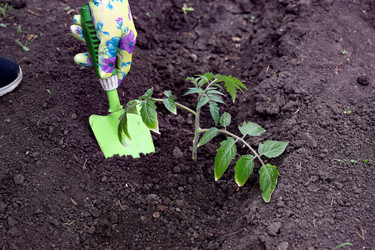 Similar image 22169427