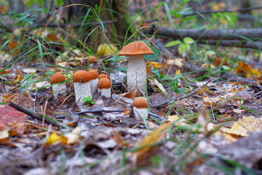 Similar image 22179219