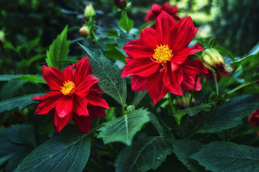 Similar image 22179223