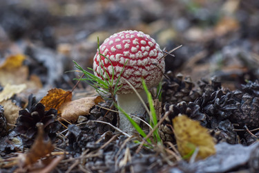 Similar image 22179225