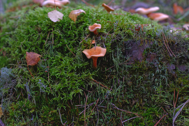 Similar image 22179227