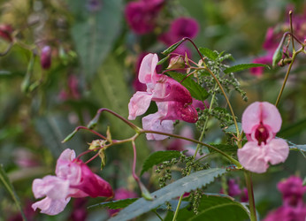 Similar image 22179231