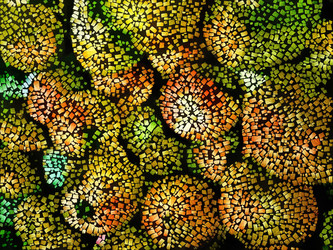 Similar image 22179232