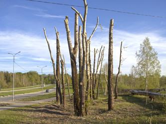 Similar image 22169435