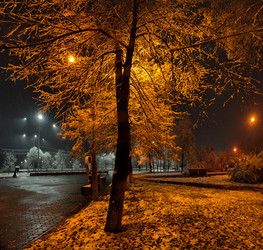 Similar image 22173909