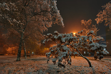 Similar image 22173910