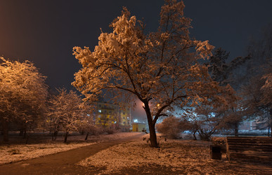 Similar image 22173911