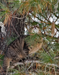 Similar image 22174417