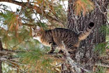 Similar image 22174418