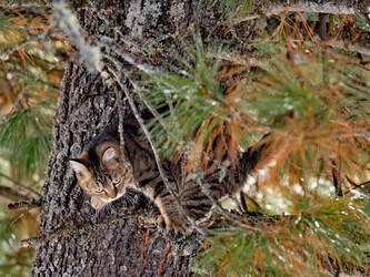 Similar image 22174421