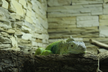 Similar image 22181263