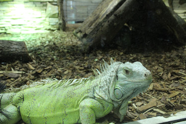 Similar image 22181264