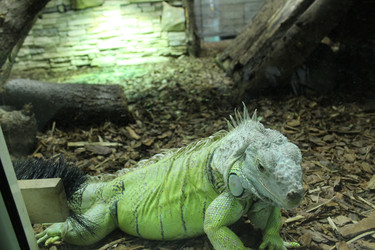 Similar image 22181265