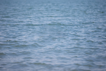 Similar image 22176133