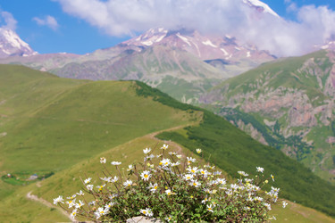 Similar image 22176139