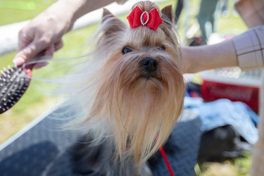 Similar image 22176140