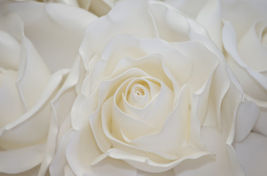 Similar image 22176161