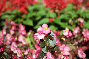 Similar image 22168831