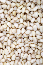 Similar image 22168841