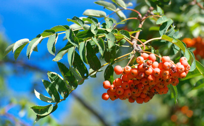 Similar image 22168847