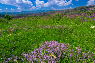 Similar image 22169201