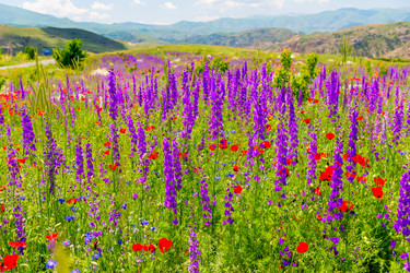 Similar image 22169203