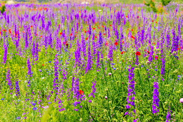 Similar image 22169211