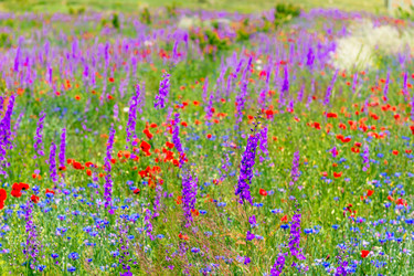 Similar image 22169213