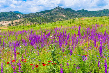 Similar image 22169217