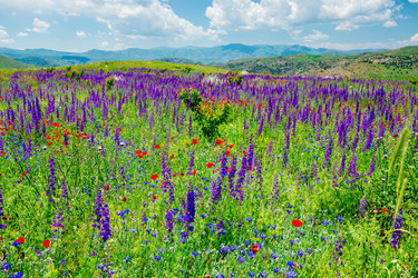 Similar image 22169219