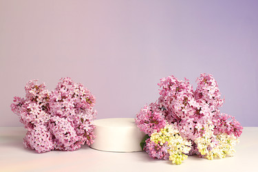 Similar image 22171958