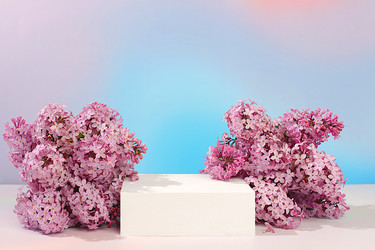 Similar image 22171960