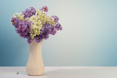 Similar image 22171963