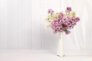 Similar image 22171964