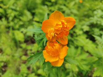 Similar image 22168848