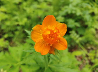 Similar image 22168849