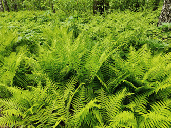 Similar image 22168850