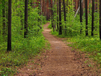 Similar image 22168851