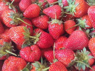 Similar image 22171212