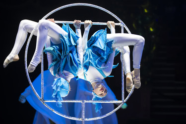 Similar image 22179544