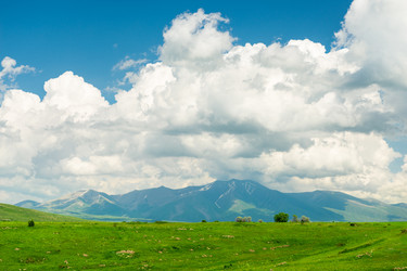 Similar image 22168932