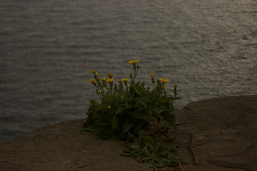 Similar image 22171221