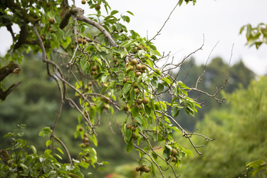 Similar image 22176331